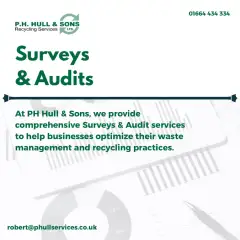 Surveys & Audits