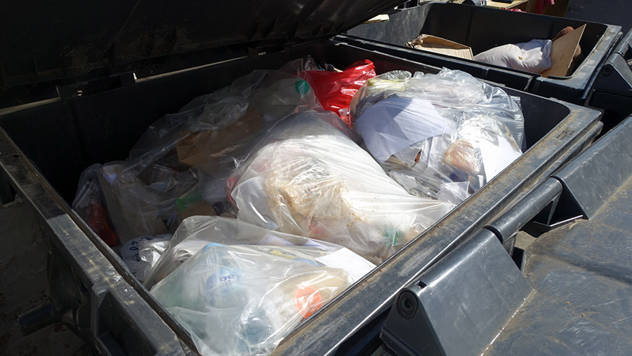 Waste Audits